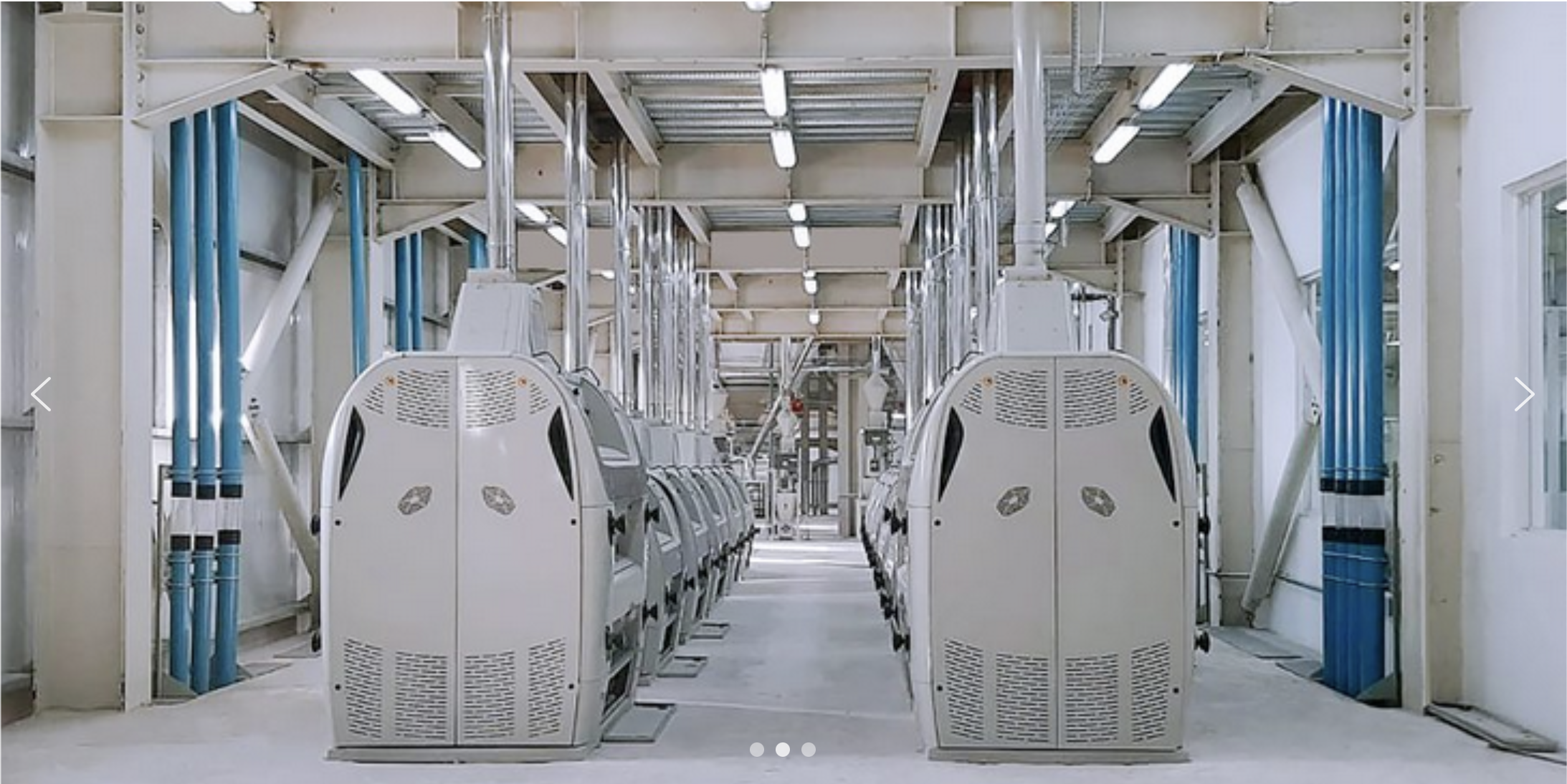 National Flour Mill Company